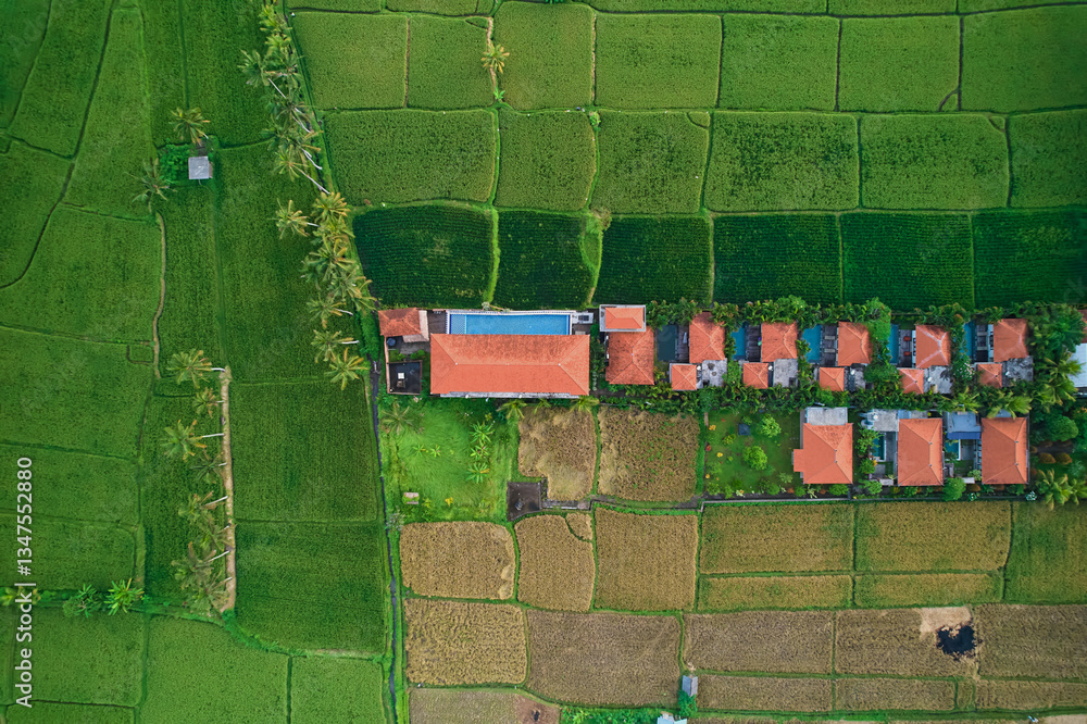 An aerial view of buildings in a rice field. A hotel complex with villas on a paddy plantation on the island of Bali.