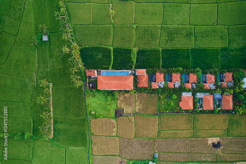 Obraz na płótnie An aerial view of buildings in a rice field. A hotel complex with villas on a paddy plantation on the island of Bali. w salonie