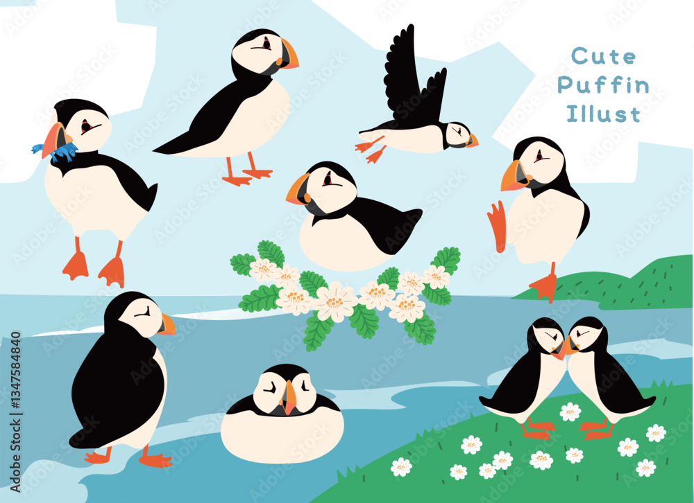 Obraz premium Cute Puffin Illustration Set