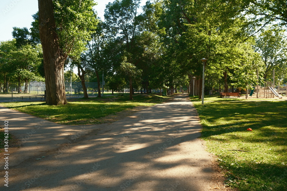 Obraz premium Cycling Trail Through Shaded Park Woods – Golden Hour Light, Peaceful Park and Empty Walking Trails