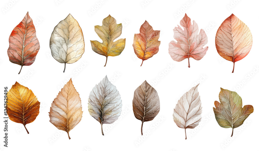 Fototapeta premium Watercolor illustration set of autumn leaves in warm earthy tones with intricate botanical details for seasonal designs
