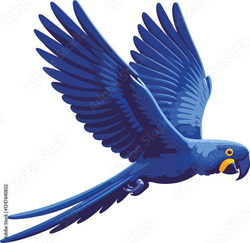 Hyacinth Macaw (Anodorhynchus hyacinthinus) – Blue parrot of the South American Tropical Biomes. Vector art on transparent background.