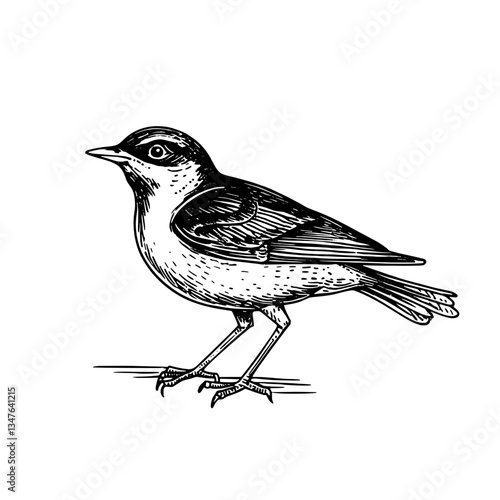 Intricate vintage engraving of a bird showcase artful craftsmanship and intricate design elements