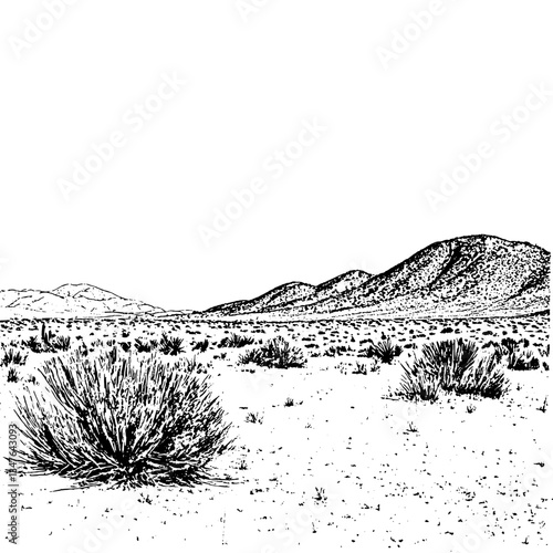 Engraved illustration of a serene desert landscape showcasing vintage hand-drawn techniques with a monochrome aesthetic