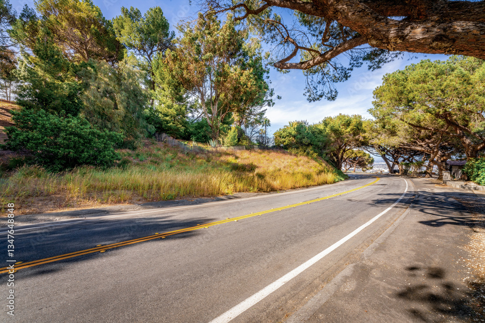 Tree lined countryside road rich with greenery and landscape during a beautiful Springtime day