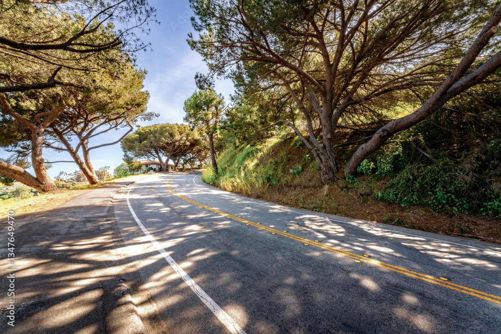 Tree lined countryside road rich with greenery and landscape during a beautiful Springtime day Tree lined countryside road rich with greenery and landscape during a beautiful Springtime day