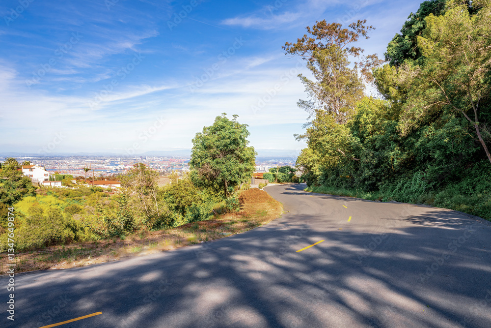 Neighborhoods with small roads and homes overlooking Los Angeles and the Port of Los Angeles during a bright, beautiful clear Springtime day