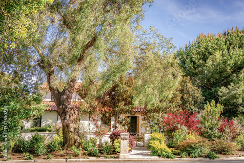Obraz na płótnie Countryside style homes surrounded with rich greenery and landscape with trees and blue sky within a Southern California neighborhood w salonie