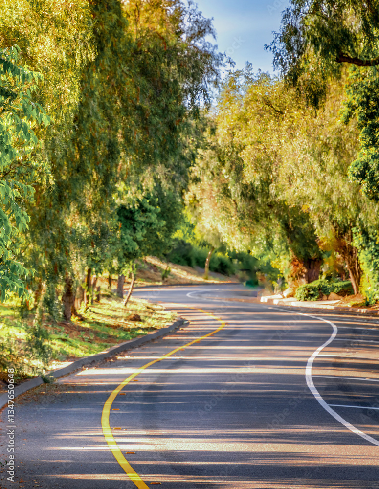 Tree lined countryside road rich with greenery and landscape during a beautiful Springtime day