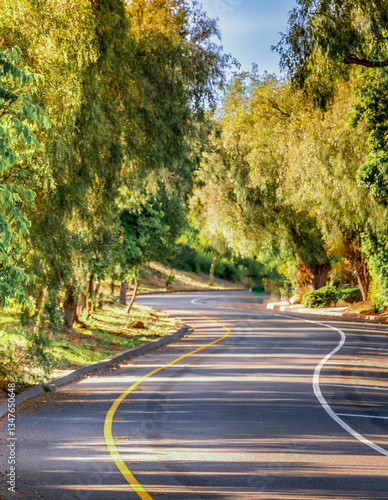 Obraz na płótnie Tree lined countryside road rich with greenery and landscape during a beautiful Springtime day w salonie