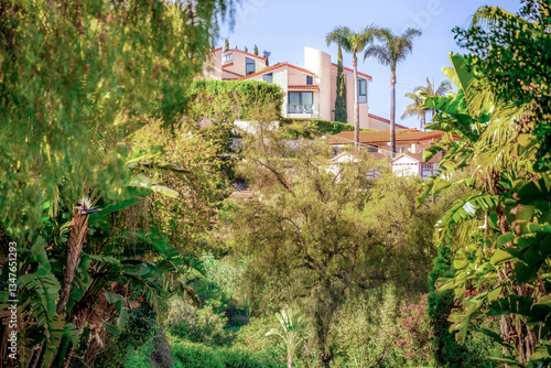 Obraz na płótnie Countryside style homes surrounded with rich greenery and landscape with trees and blue sky within a Southern California neighborhood w salonie