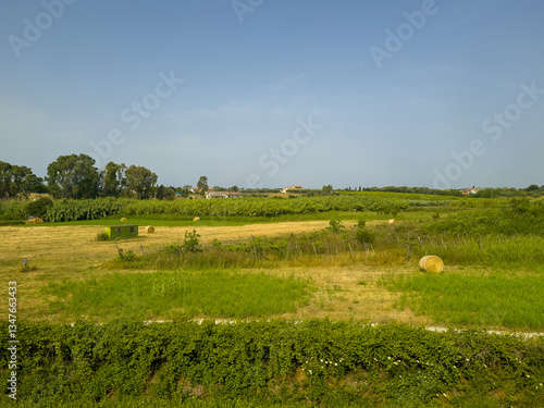 Photography Civitavecchia, Italy - July 7, 2024: Agricultureal landscape
