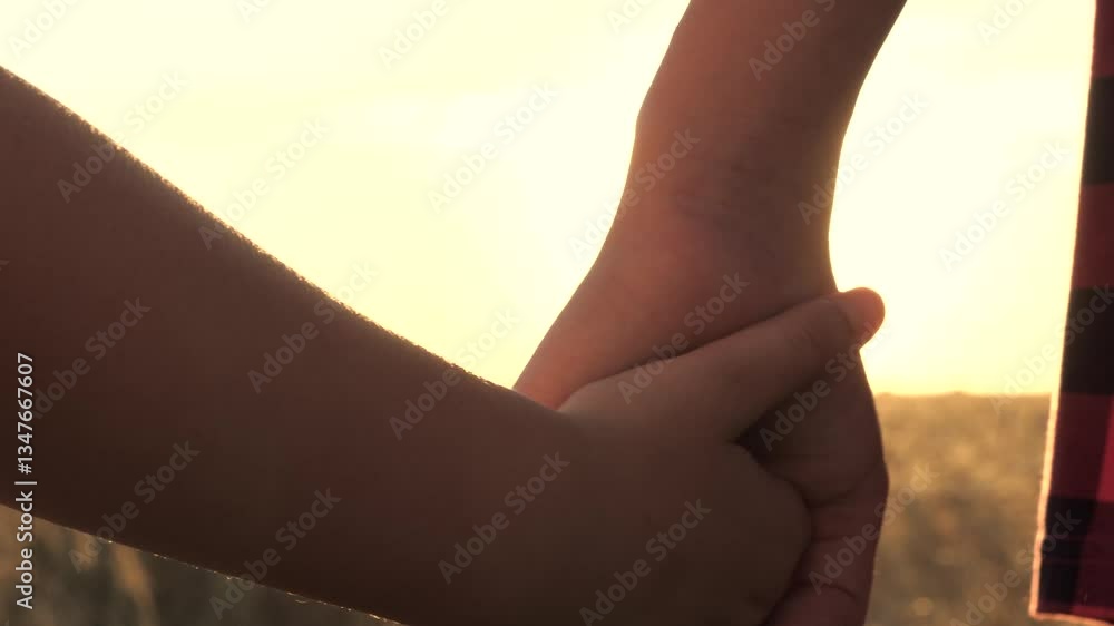 close up hands parent child, mother child wheat field sunset, holding hands sunset, happy family life, little child kid farmer, agriculture, attention tenderness son daughter boy girl, happy family close up hands parent child, mother child wheat field sunset, holding hands sunset, happy family life, little child kid farmer, agriculture, attention tenderness son daughter boy girl, happy family
