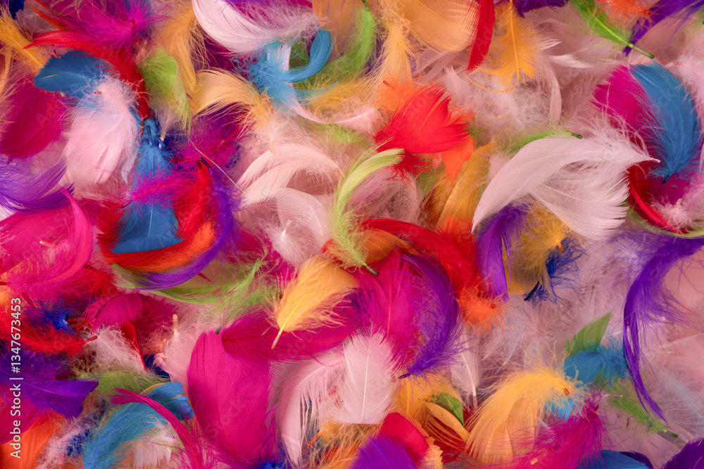 Colorful feather background, top view. Colorful feather background, top view.