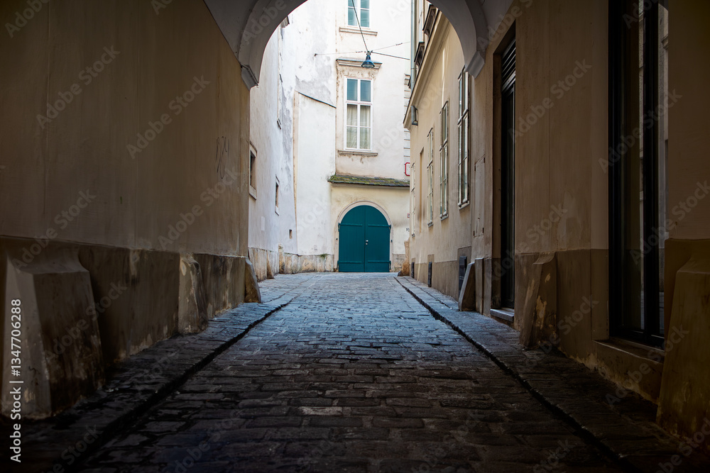 Obraz premium Green door in an old alley of Wien