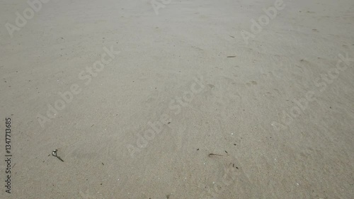 sand on the beach