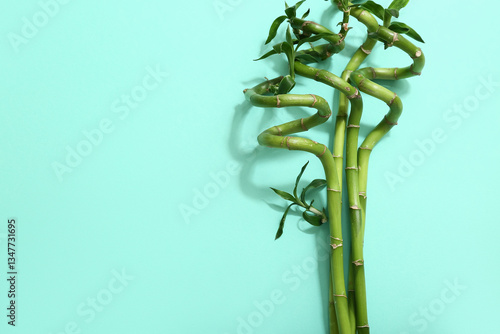 Green bamboo stems on turqu...