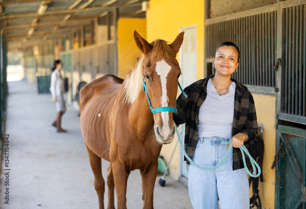 Fototapeta premium Young woman takes horse on leash for walk from stables