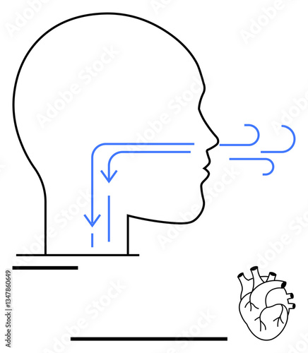 Human profile showing airflow arrows indicating inhalation and exhalation alongside a heart icon. Ideal for health, anatomy, biology, respiration, cardiovascular system, medicine, and wellness