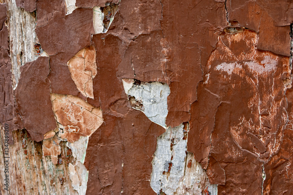 Fototapeta premium Background with worn paint, old material, craquelure