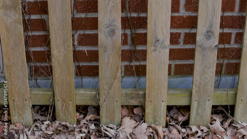 Close-up shot of a weathered wooden fence with dried vines and fallen leaves against a brick wall. Rustic backyard scene, late autumn or early spring, natural textures, and seasonal transition.