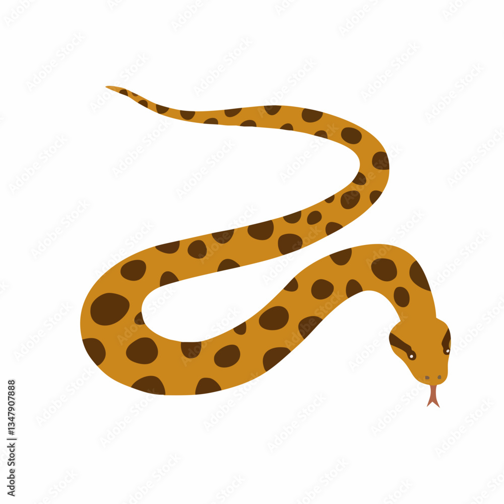 Spotted Snake Illustration Design. Vector image Spotted Snake Illustration Design. Vector image