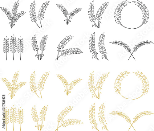 Wheats ears icon set and wheat design elements flat line vector collection isolated on transparent background. Harvest wheat grain, growth rice stalk and whole bread grains or field cereal nutritious.