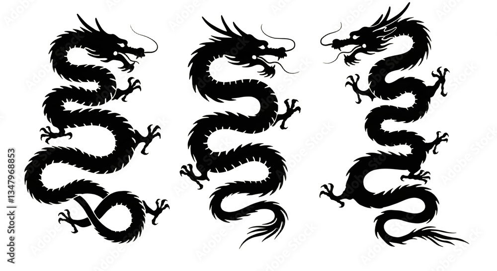 Obraz premium Dragon Silhouette Art