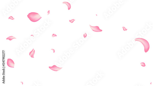 rose and sakura flying petal romantic background vector