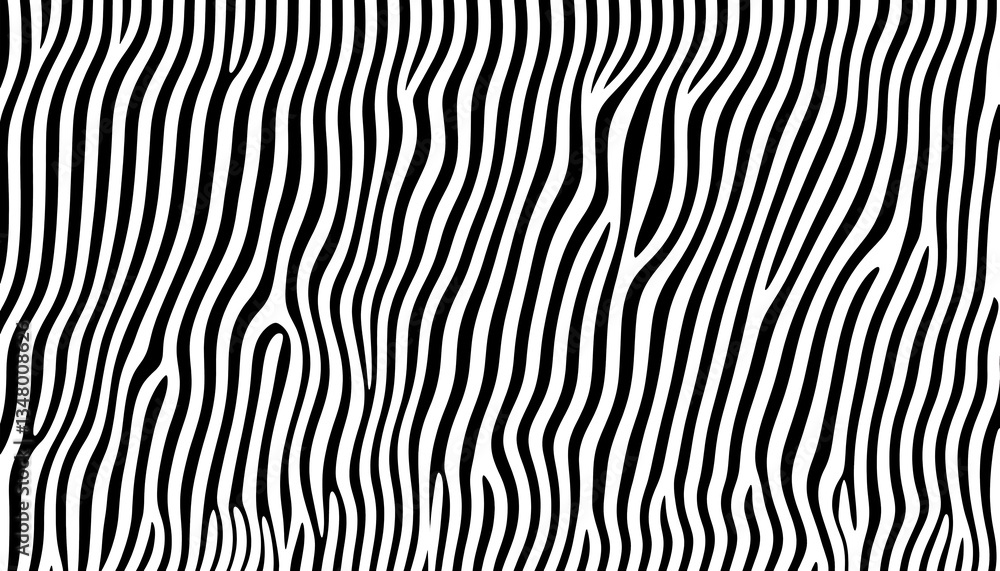 Zebra stripes. Black and white pattern. Background. Stock photo Zebra stripes. Black and white pattern. Background. Stock photo