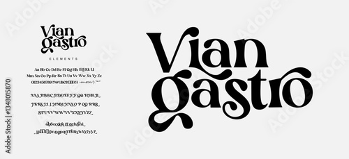 Elegant Font Uppercase Lowercase and Number. Classic Lettering Minimal Fashion Designs. Typography  fonts regular decorative vintage concept. vector illustration
