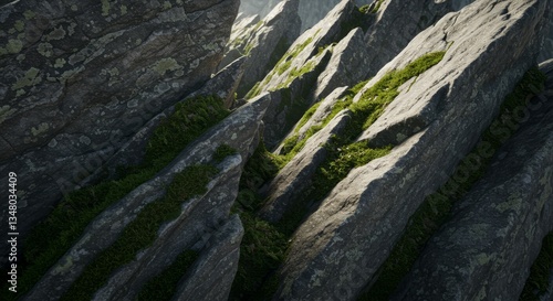 green moss on the rocks Texture 