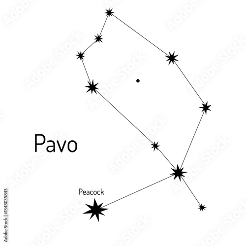 Black and white vector illustration of Pavo constellation. Includes labeled stars with clean lines, perfect for educational materials, astronomy projects and minimalist decor.