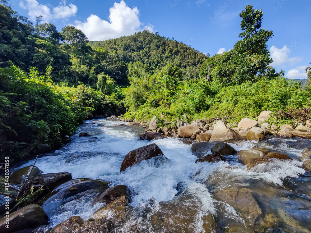 Beautiful nature deep jungle river in Sabah Malaysian Borneo