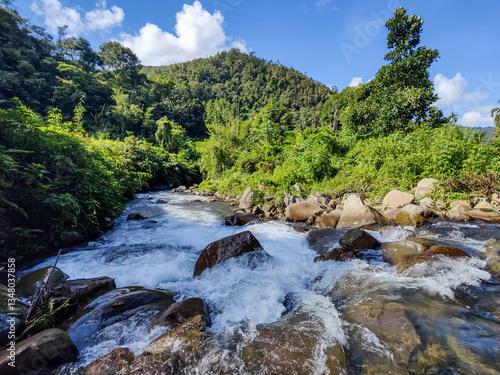 Obraz na płótnie Beautiful nature deep jungle river in Sabah Malaysian Borneo w salonie