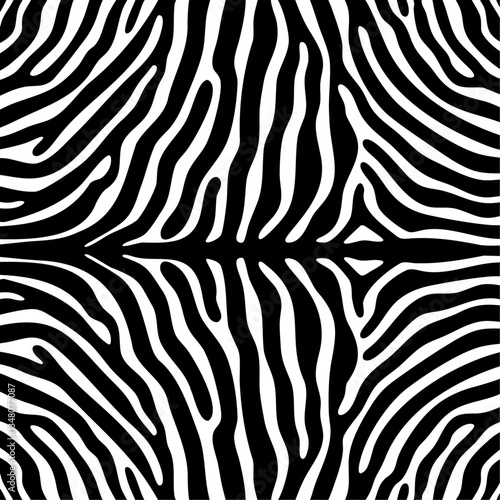 a zebra print pattern with a black and white background
