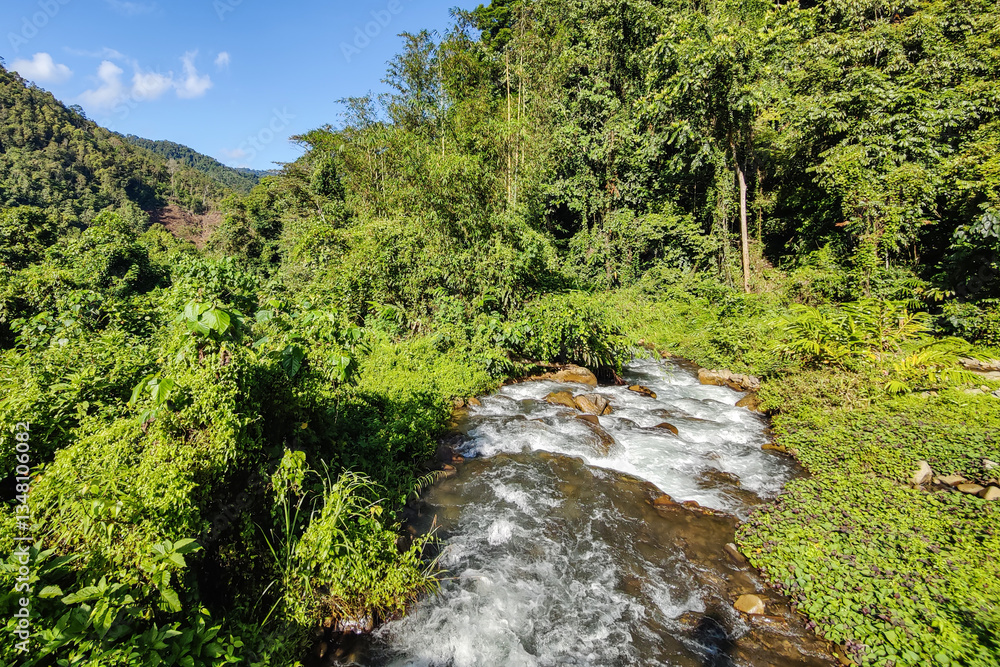 Beautiful nature deep jungle river in Sabah Malaysian Borneo