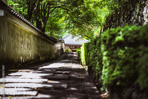 京都　善峯寺の景色