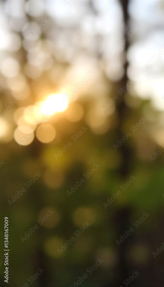 Obraz premium Generative AI Golden hour bokeh through trees create a blurry dreamlike atmosphere, evokes warmth and natural beauty of sunlight