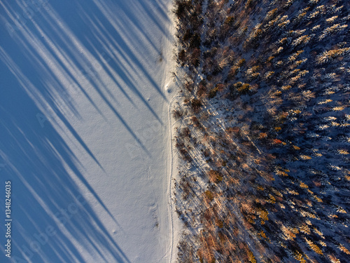 Εκτύπωση καμβά Trees & Long Shadows on Snowy Lake, Saariselka Finland