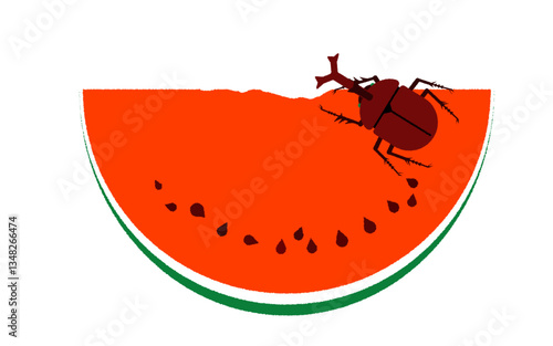 スイカを食べるカブトムシのイラスト
