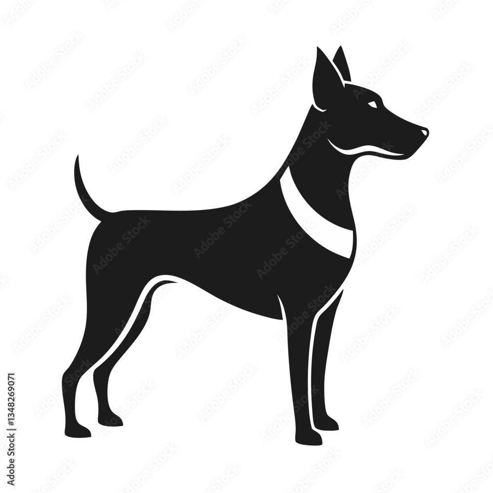 A cute black and white Border Collie puppy with big ears and a playful expression A cute black and white Border Collie puppy with big ears and a playful expression