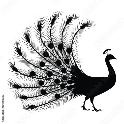 Peacock Silhouette, Vector, Icon, Logo, White Background.