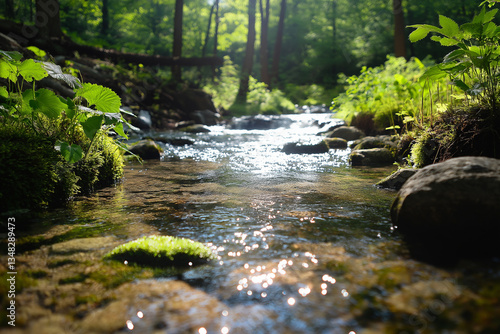 A stream winds through a lush, sun-dappled forest. Uploading stock photos? This image could be great for nature and landscape concepts