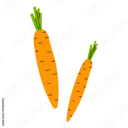 Fresh carrots displayed with vibrant orange colors against a plain background, showcasing healthy produce suitable for cooking and snacking