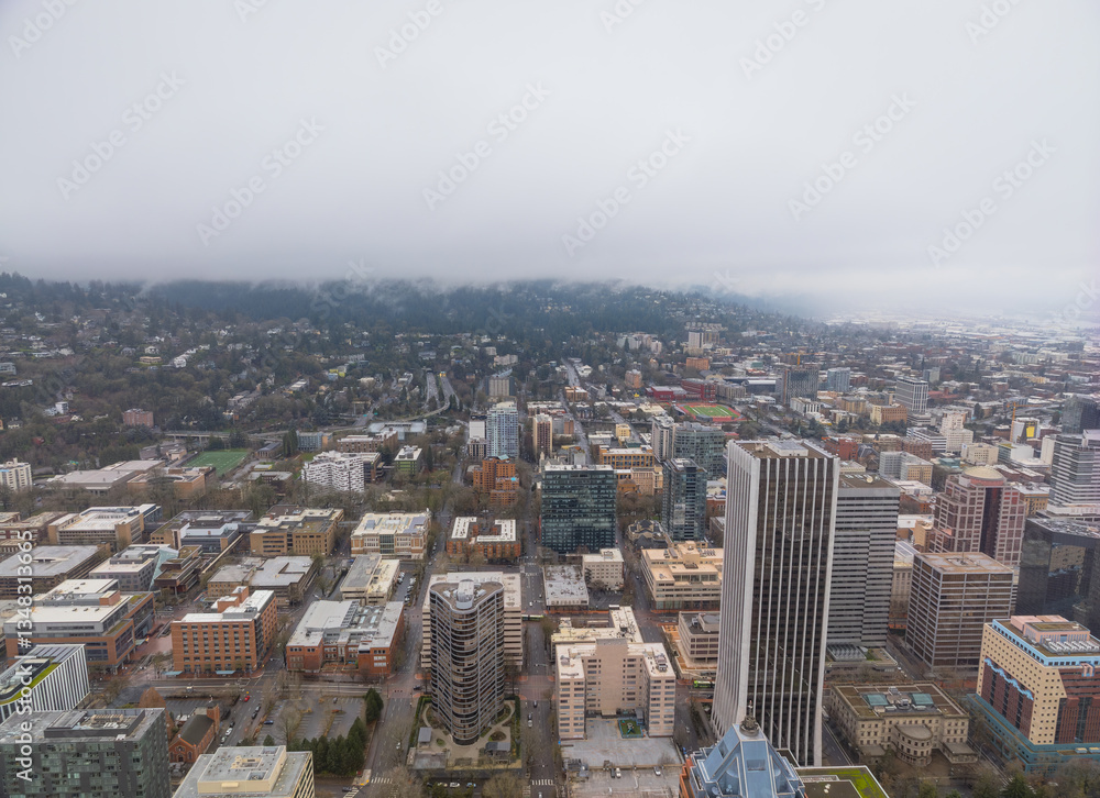 Fototapeta premium A city view with a foggy sky