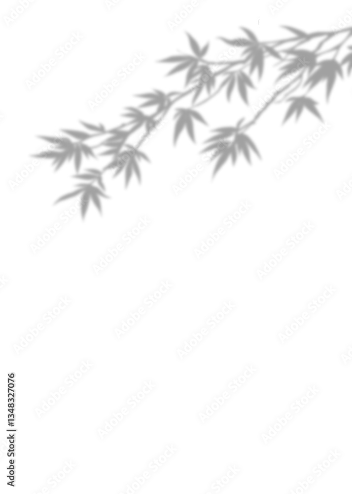 Fototapeta premium Blurry Grey Bamboo twig and leaf branches with black leaves in a natural design, for decoration card banner etc, Shilluation image, zen concept, vertical image.