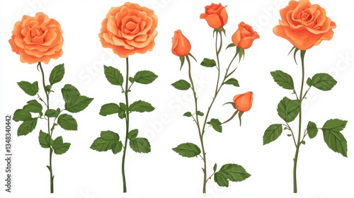 Stunning Orange Roses: A Detailed Floral Illustration