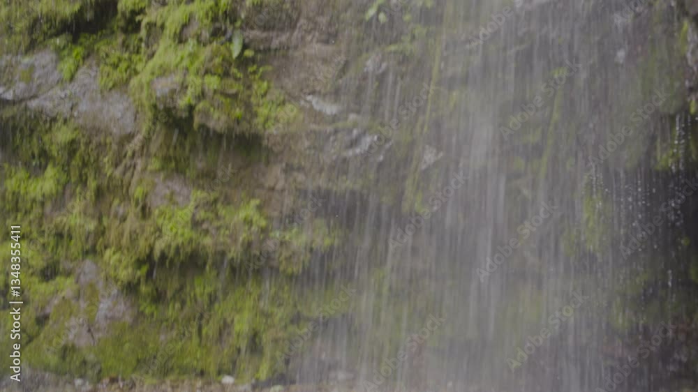 General shot, waterfall in the Amazon, Ecuador. General shot, waterfall in the Amazon, Ecuador.