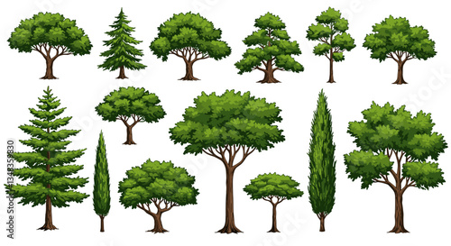 Collection of Lush Green Trees in Vector Art
